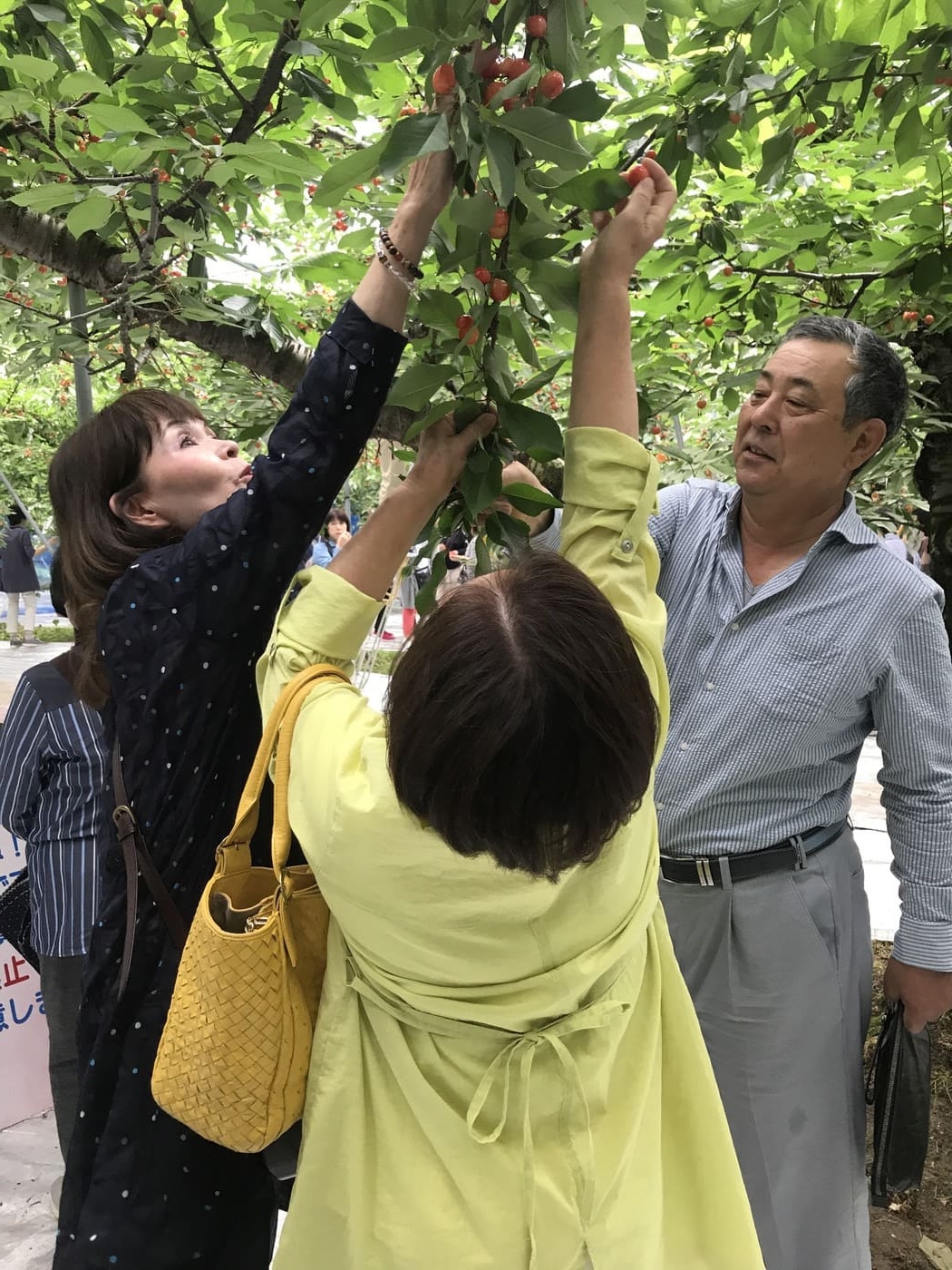 親睦旅行