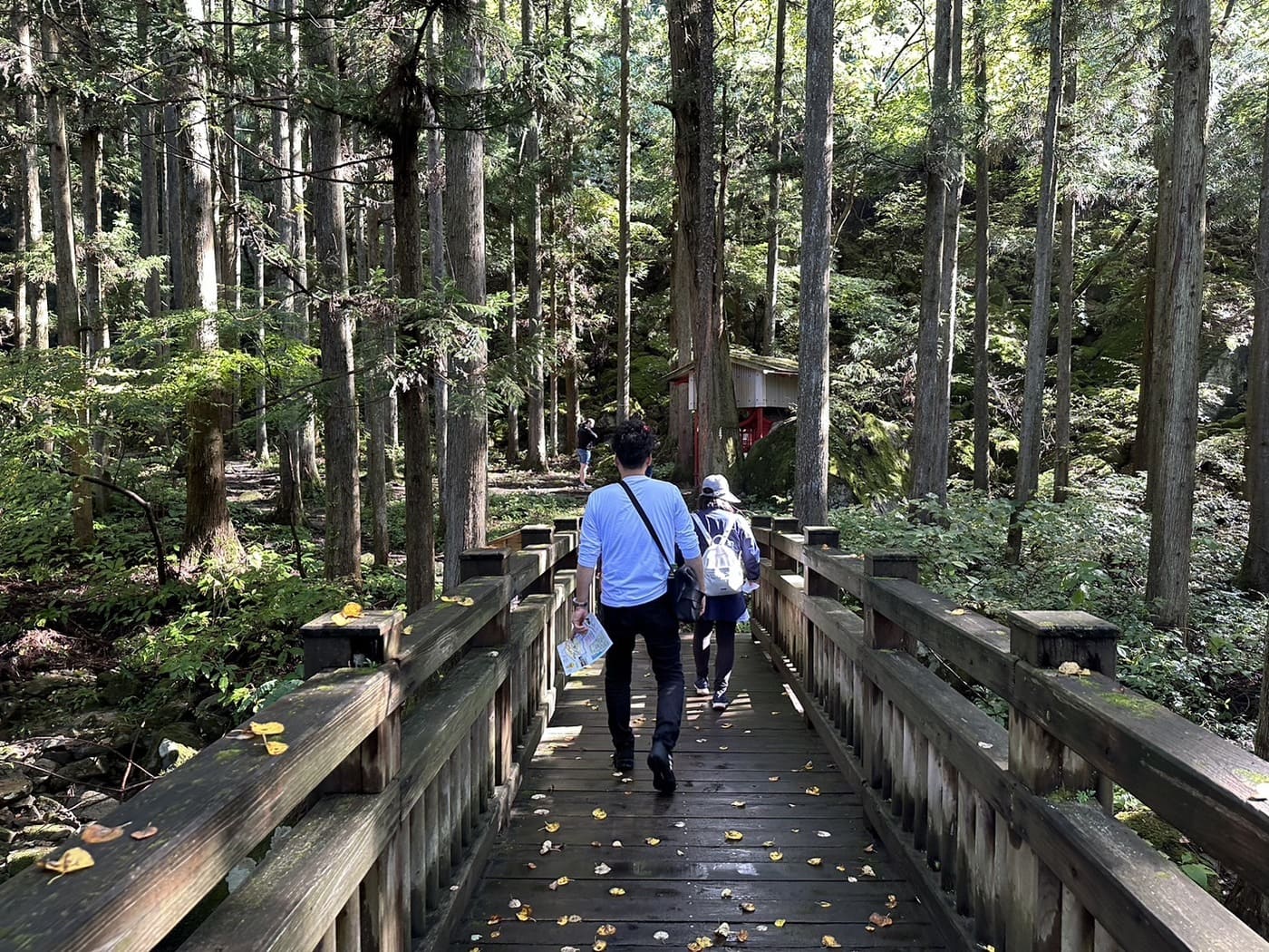 滝川渓谷ハキング